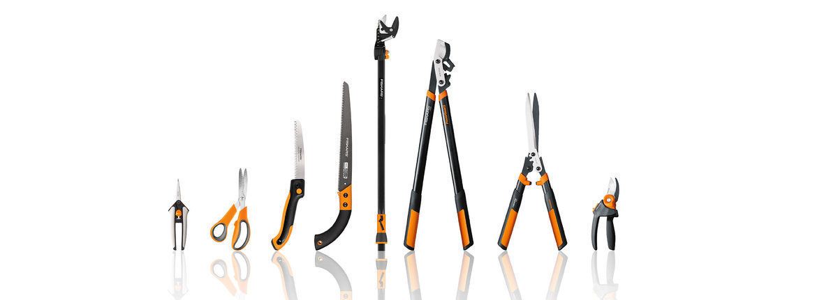 Properly Pruning Your Trees: 10 Things to Consider